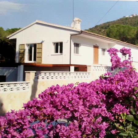 Villa Felices Juntos 플라티야 다로 외부 사진