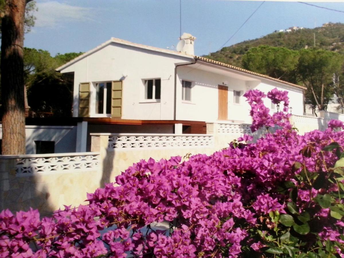 Villa Felices Juntos 플라티야 다로 외부 사진
